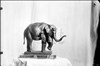 Scultura raffigurante un elefante