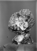 Reperto museale : campione di minerale