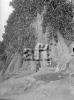 Basalti colonnari della rupe di Motta Sant'Anastasia