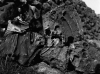 Calcari a Rudiste del Cretaceo superiore presso Capo Passero